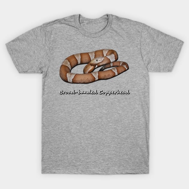 Broad-banded Copperhead T-Shirt by Paul Prints